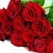 Гостиничной сети AMAKS Hotels&Resorts 15 лет! Гостиничной сети AMAKS Hotels&Resorts 15 лет!